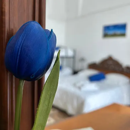 Stanza Zaffiro Azzurro לינה וארוחת בוקר