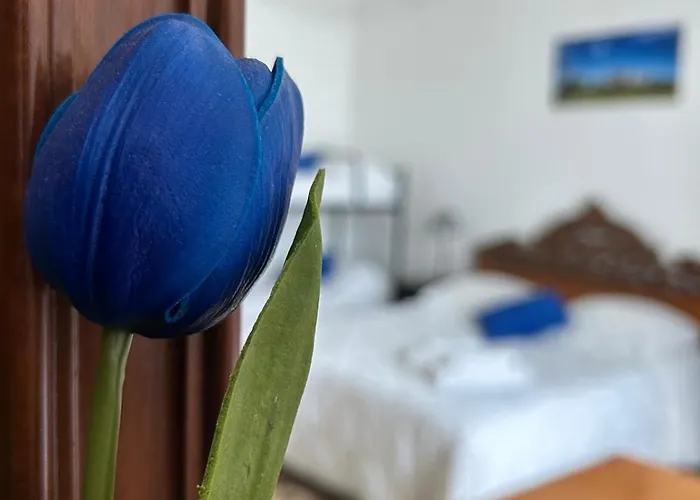 Stanza Zaffiro Azzurro Alojamento de Acomodação e Pequeno-almoço